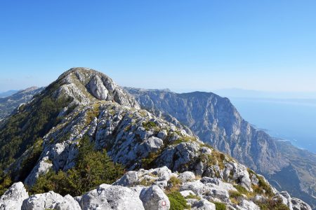 29149791261_40ca06f18c_h